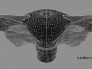 Uterus 3D 模型
