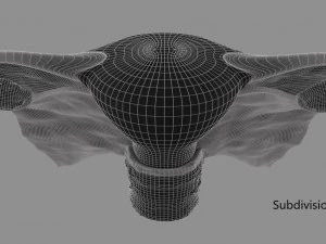 Uterus 3D Model