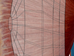 Uterus 3D 模型