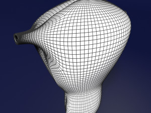 Uterus cut open bisected labelled detail model 3D 模型