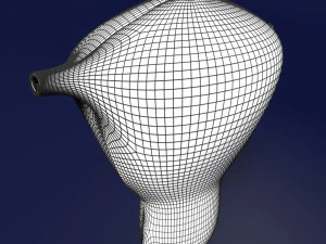 Uterus cut open bisected labelled detail model 3D Model