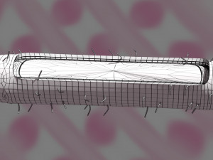 Tuberculosis bacteria detail cut section labelled 3D 3D Модель