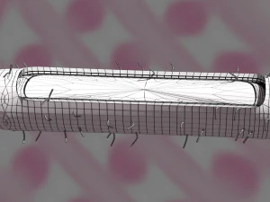 Tuberculosis bacteria detail cut section labelled 3D 3D Model
