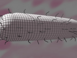 Tuberculosis bacteria detail cut section labelled 3D 3D Модель