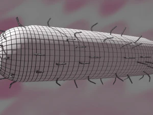 Tuberculosis bacteria detail cut section labelled 3D 3D Model