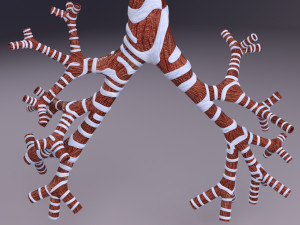 Larynx and trachea 3D 模型