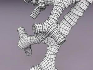 Larynx and trachea 3D Model