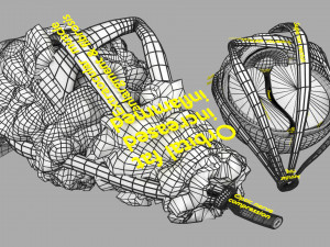 3D thyroid eye disease Model 3D