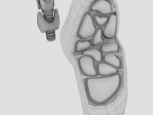 Thyroid anatomy microscopic larynx trachea 3D 3D-Modell