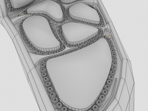 Thyroid anatomy microscopic larynx trachea 3D 3D-Modell