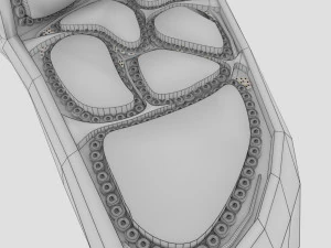 Thyroid anatomy microscopic larynx trachea 3D 3D Model