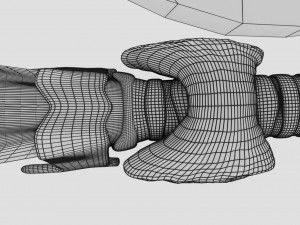 Thyroid anatomy microscopic larynx trachea 3D 3D-Modell