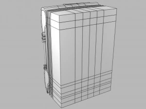 Thoracic wall layers model 3D Model