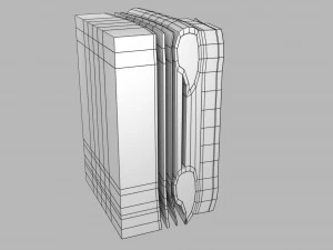 Thoracic wall layers model 3D Model