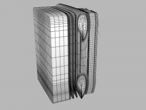 Thoracic wall layers model 3D 模型