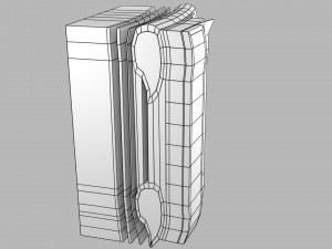 Thoracic wall layers model 3D 模型