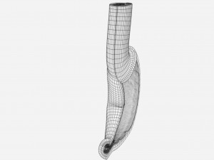 Stomach seperable parts 3D Модель