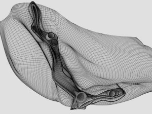 3D Spleen Anatomy Microscopy Labelled 3D Model