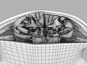 Spinal cord transverse section coverings label 3D Model