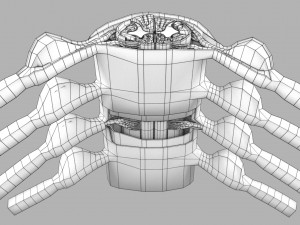 Spinal cord transverse section coverings label 3D Model