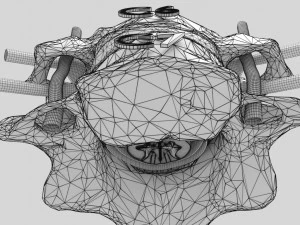 Spinal Tracts cord vertebrae labelled 3D Model