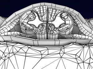 Spinal Tracts cord vertebrae labelled 3D Model