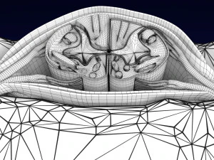 Spinal Tracts cord vertebrae labelled 3D Model