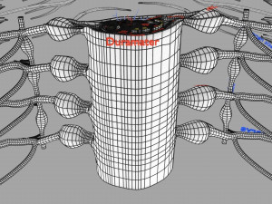 Spinal cord symphathetic intercostal nerve labelled detail Model 3D