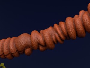 3D sperm spermatozoa 3D 模型