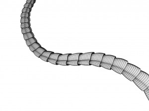 3D sperm spermatozoa 3D 模型