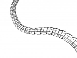 3D sperm spermatozoa 3D 模型