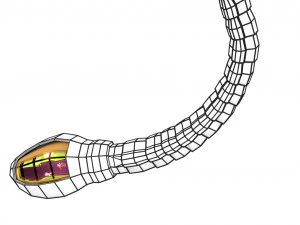 3D sperm spermatozoa 3D Model