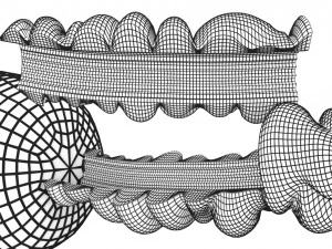 3D sperm spermatozoa 3D Model