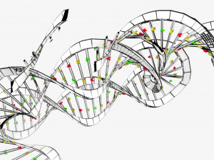 3D sperm spermatozoa 3D 模型