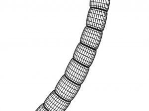 3D sperm spermatozoa 3D Model
