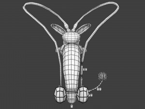 Seminal fluid according to cause of azoospermia 3D 模型