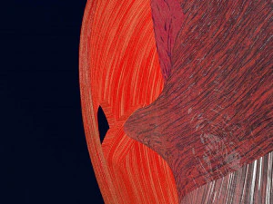 Retinal detachment types eye 3D Model