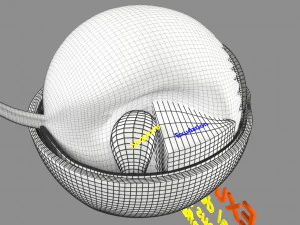Retinal detachment types eye 3D Model