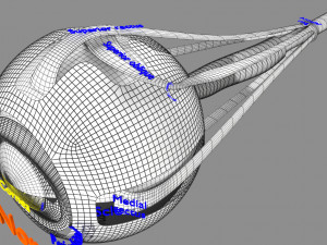 Retinal detachment types eye Modelo 3D
