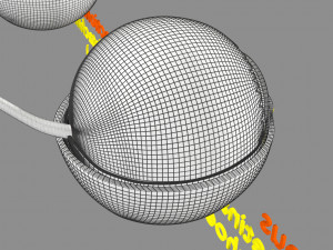 Retinal detachment types eye Modelo 3D