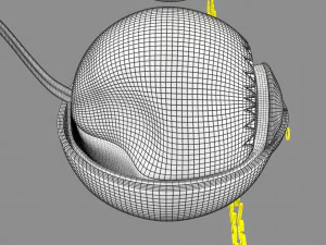 Retinal detachment types eye 3D Model
