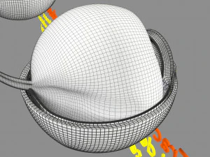 Retinal detachment types eye 3D Model