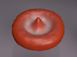 RBC types 3D Model