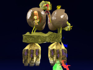 Olfactory system smell odour detail labelled 3D Model