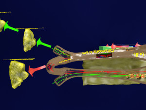 Olfactory system smell odour detail labelled 3D Model