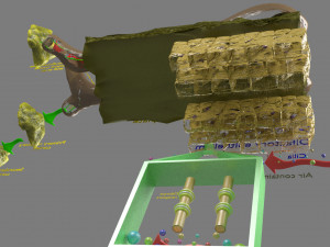 Olfactory system smell odour detail labelled 3D Model