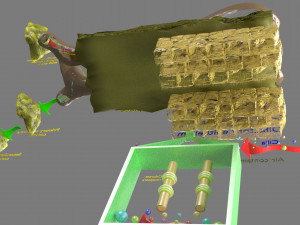 Olfactory system smell odour detail labelled 3D Model
