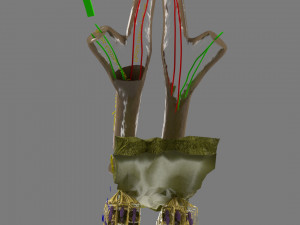 Olfactory system smell odour detail labelled 3D Model