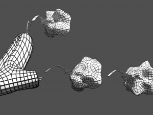 Olfactory system smell odour detail labelled 3D Model