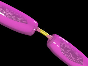 3D Neuron axon parts labelled detail model Modelo 3D